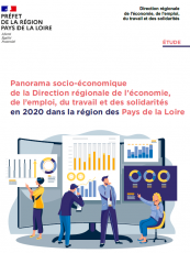 Panorama socio-économique 2020