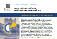 Insee Analyses - l'apprentissage stimulé par l'enseignement supérieur