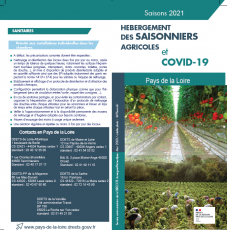 Hébergement des saisonniers agricoles et COVID-19