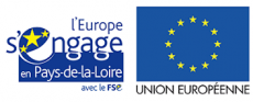 Fonds Social Européen 2014 - 2020 en Pays de la Loire : 150 000 personnes bénéficiaires et 100 M€ engagés